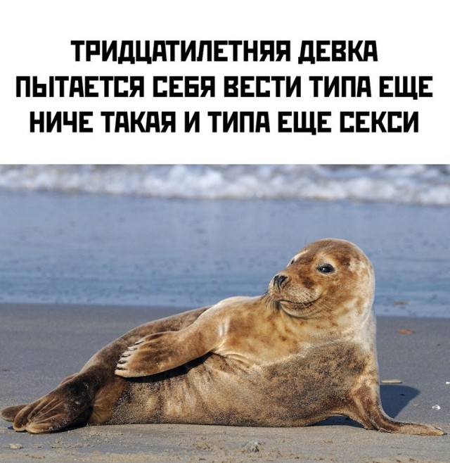 19138358.jpg