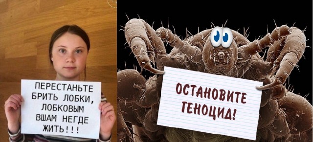 А вы знаете? как быстро собрать хворост и растопку для шашлыка?