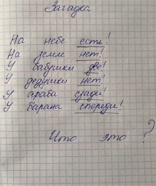 Весёлый полтишок 13.08.24