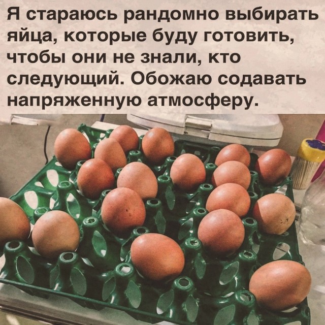 Так себе картинки 25.08.24