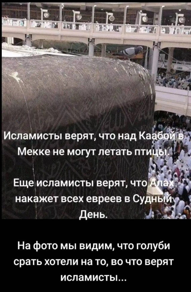 А голуби на крыше.