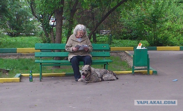 Человек и собака