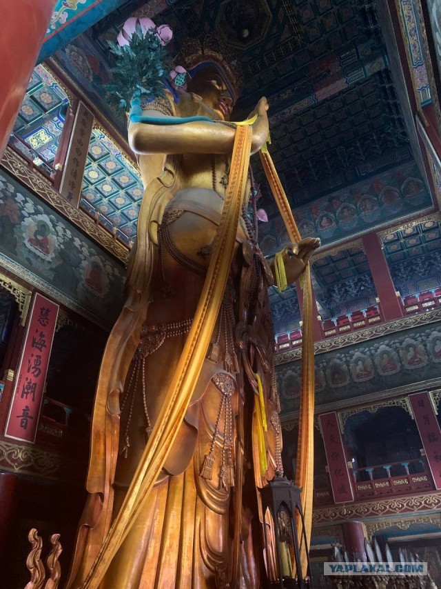 Китай. Пекин-Бэйдайхэ 20024 China.  Beijing-Beidaihe 20024 中国。北京北戴河 20024