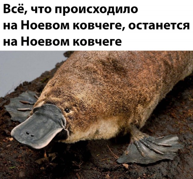 От тюрьмы и от сумы-2(новый дом)