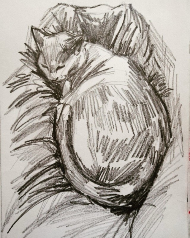 Котоштрих