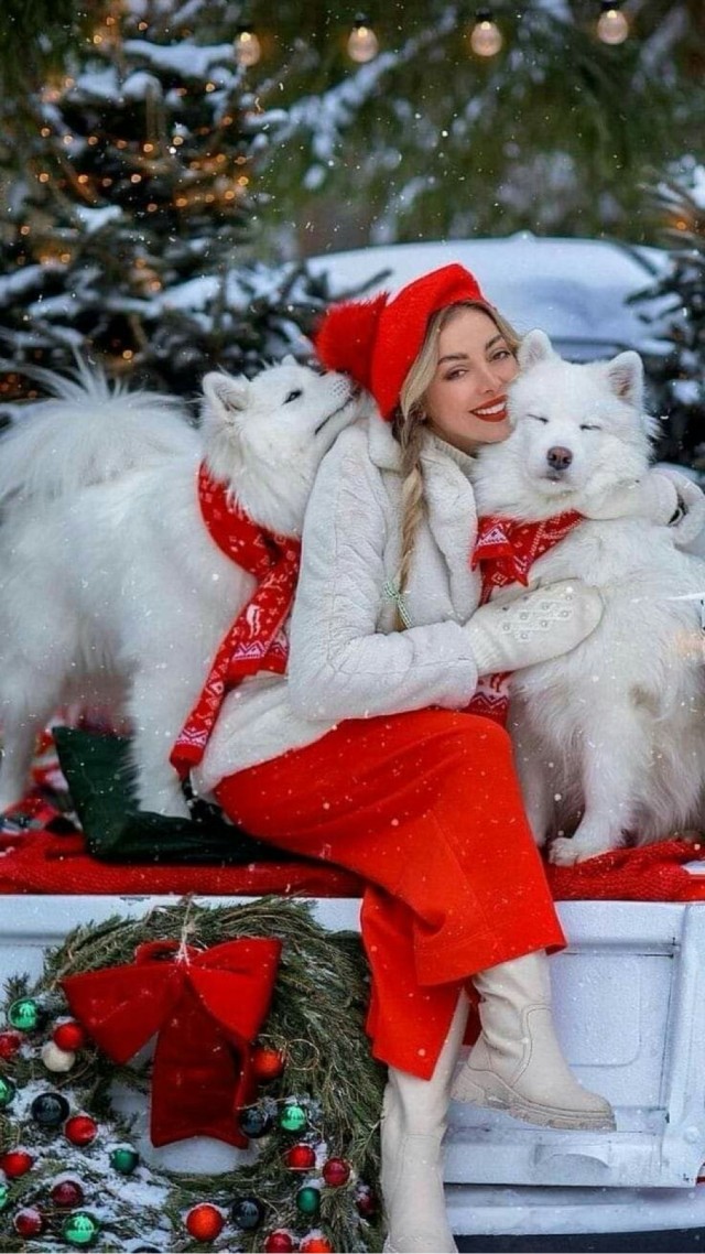 Прикольные и просто красивые картинки 27.12.2024