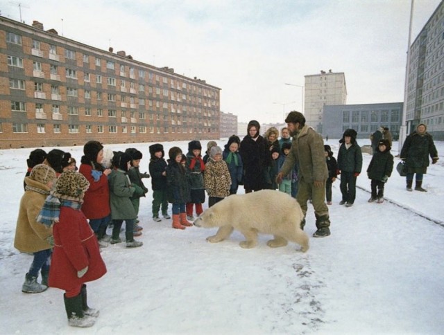 Прикольные и просто красивые картинки 31.12.2024