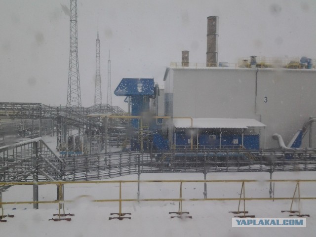 Перепись профессий ЯПа