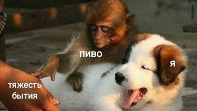 Нуштош 19.02.2025. Обитатель зла (s3e7)