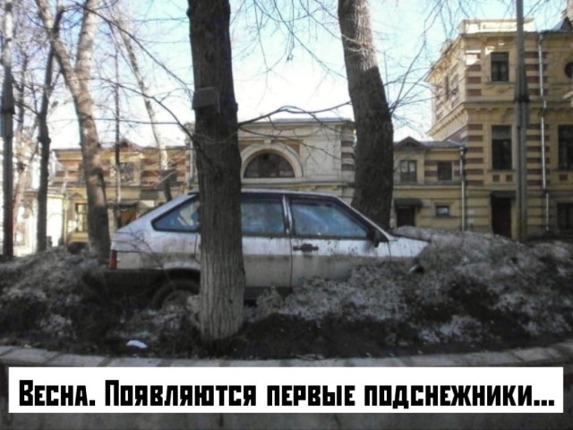 Так себе картинки 11.03.25