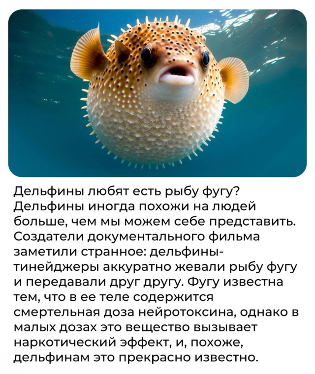 Всячина