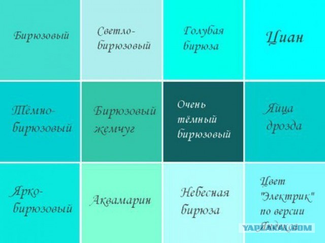 Ученые из Калифорнийского университета утверждают, что открыли новый цвет, но его невозможно воспроизвести на экране
