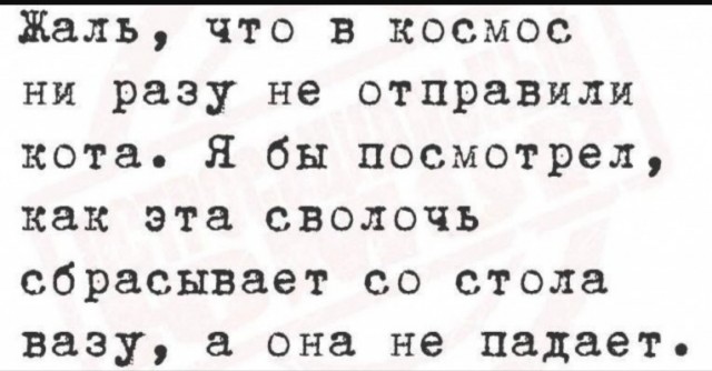 Веселое настроение в картинках (13.07.2025)