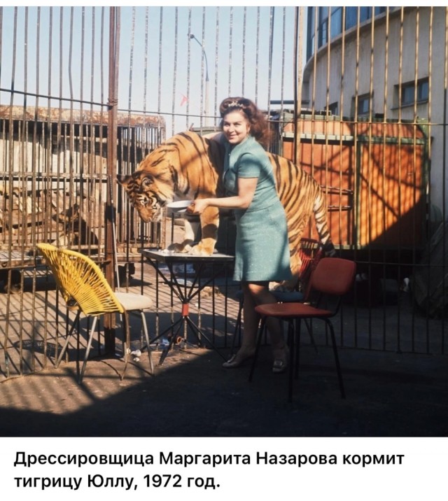 Интересные снимки известных людей 21.07.25