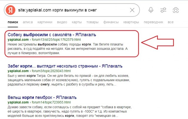 Рви меха или как перестать постить баяны на ЯП