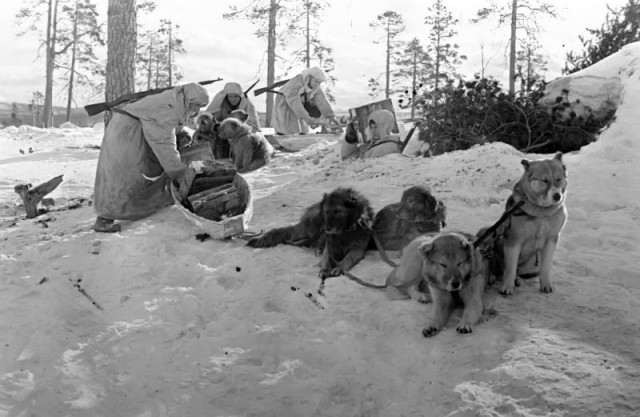 Великая Отечественная в фотографиях-10