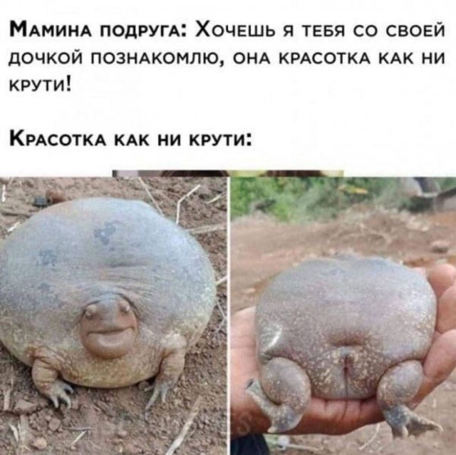 Немного картинкафф для настроения (баяны-перебаяны)
