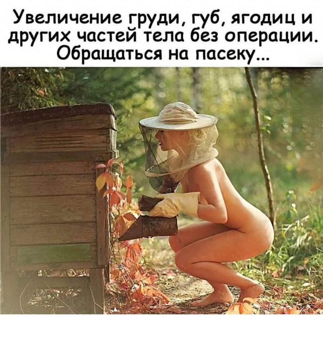 Картинки для деградации 54 (разной степени свежести)