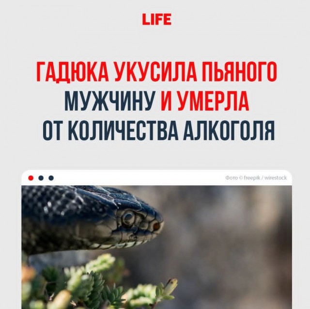 Маленькая пятница