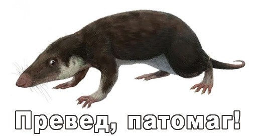 Даже не было сомнений...