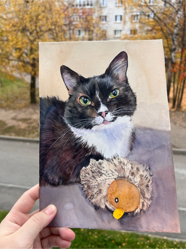 Кошка Ёшка, памятный портрет акварелью.