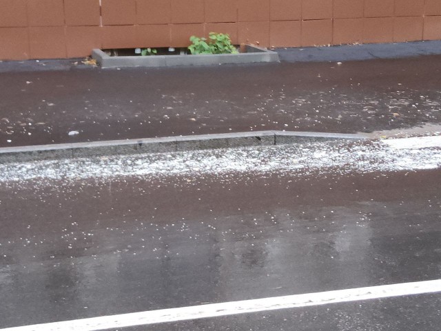 Реагент на фоне зеленой травы — парадоксы московской действительности