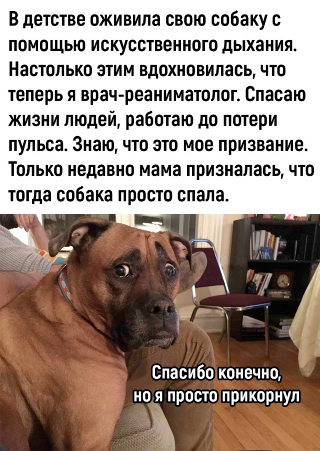 Так себе картинки 06.11.25