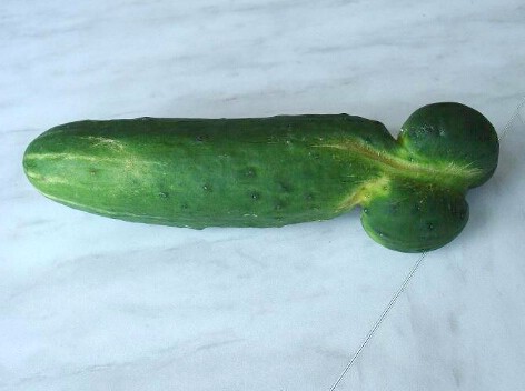 Петербурженка проходила с огурцом во влагалище три дня и заработала сепсис. Женщина хотела отомстить мужу за измену