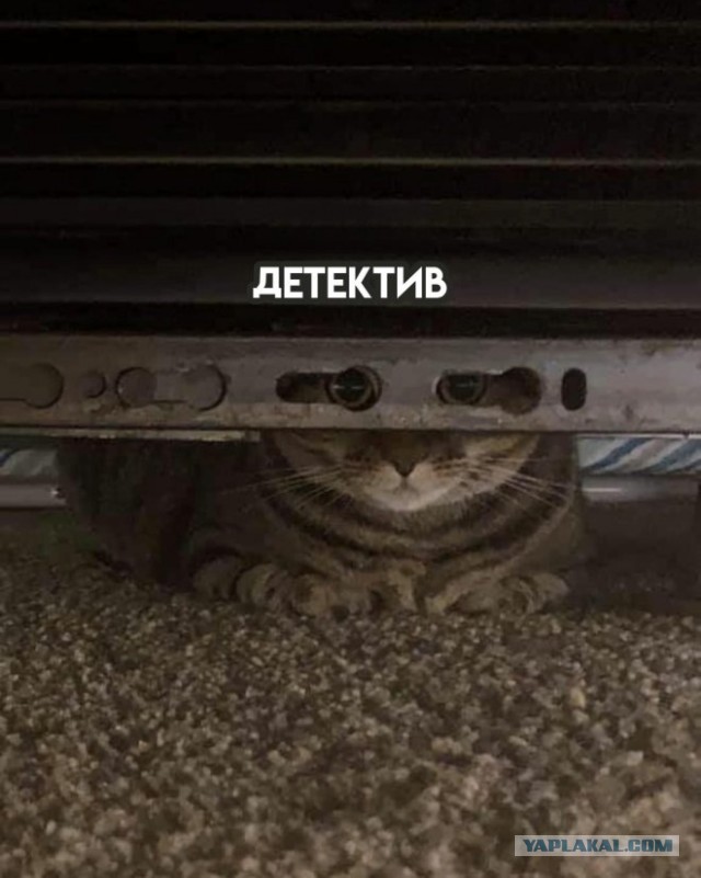 Несколько жанров кино