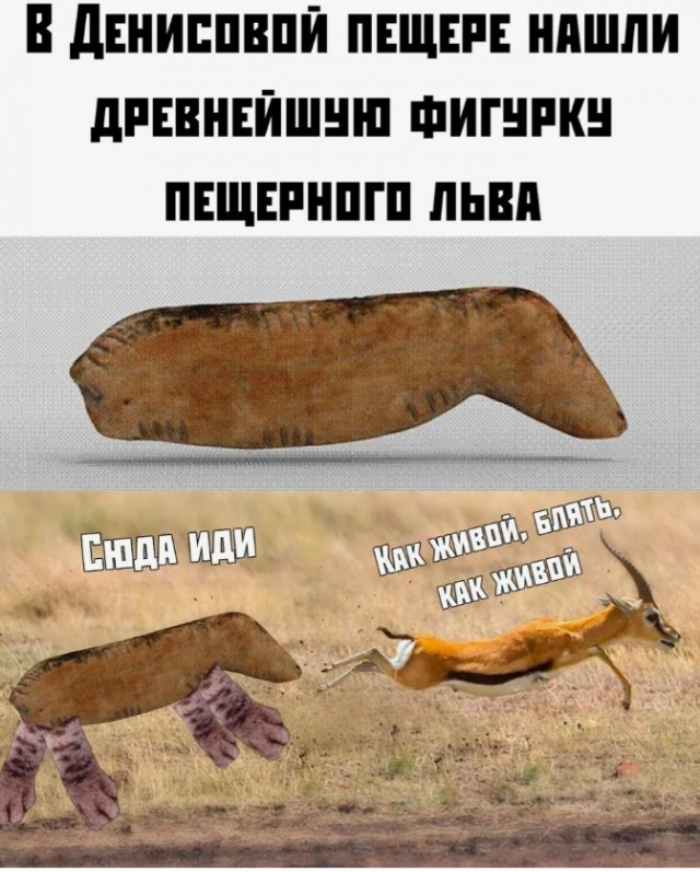 Нашествие теней