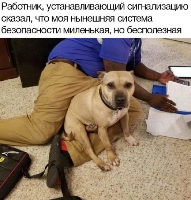 Так себе картинки 26.03.26