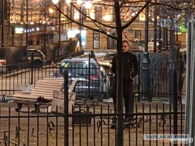 Ночной хоррор: полиция ловила в центре Петербурга человека с ревущей бензопилой