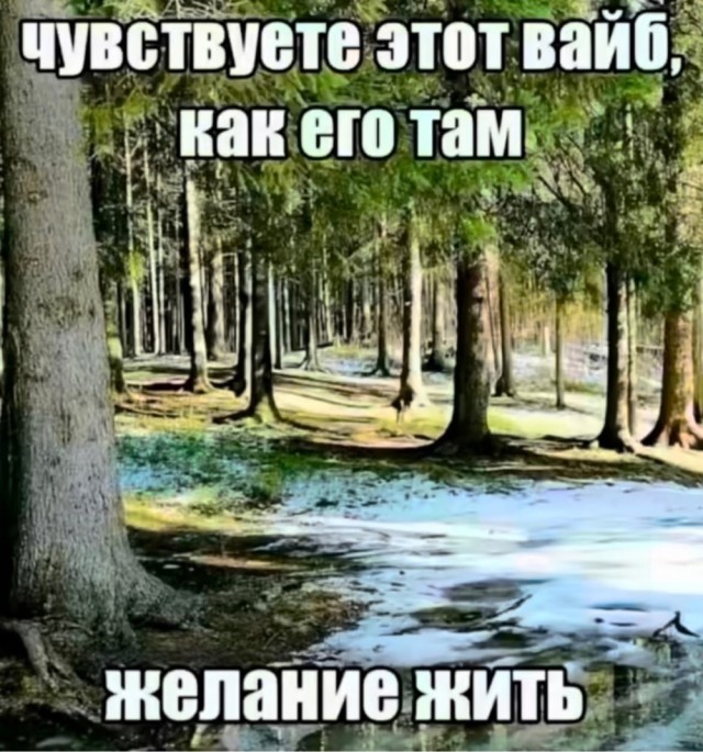 Среды картинки