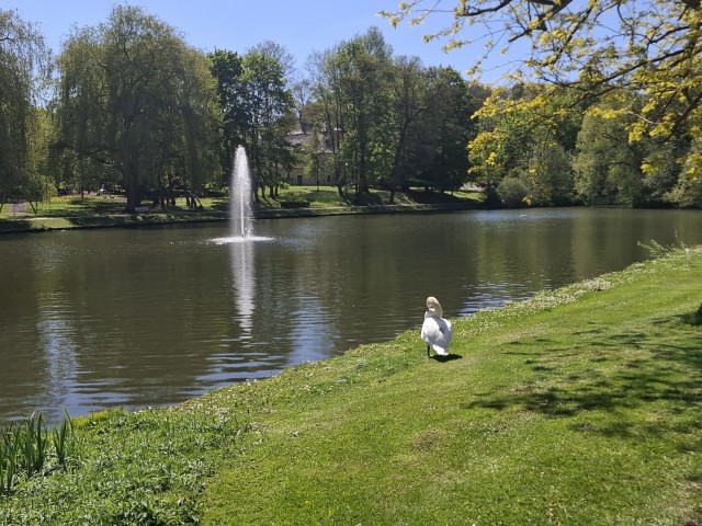 Немного природы Бельгии.