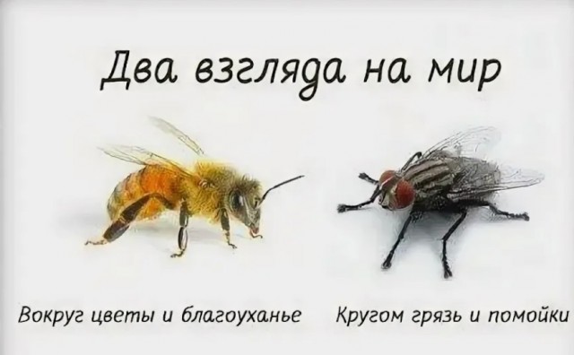 Мужчина напал на сотрудников скорой, которые приехали к нему по вызову в Москве