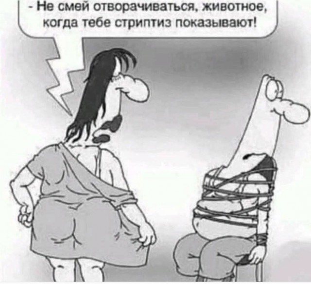 Веселые картинки в пятницу (09.10)