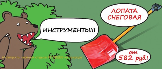 Медведи почти на все случаи жизни