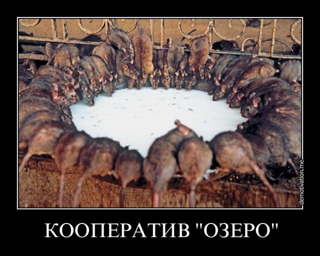 Россияне могут обойтись без доллара ...
