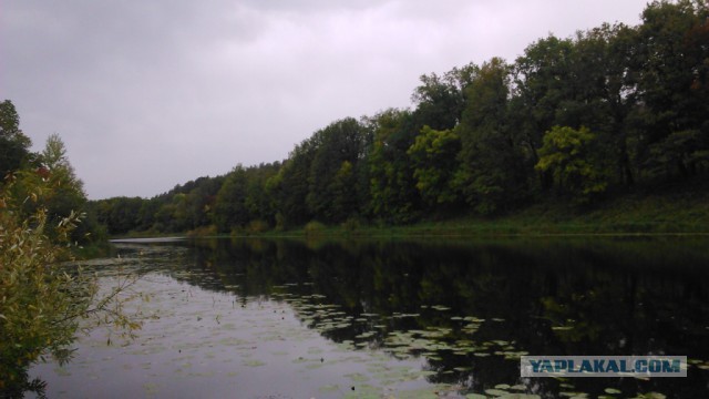 Хочу в Россию.