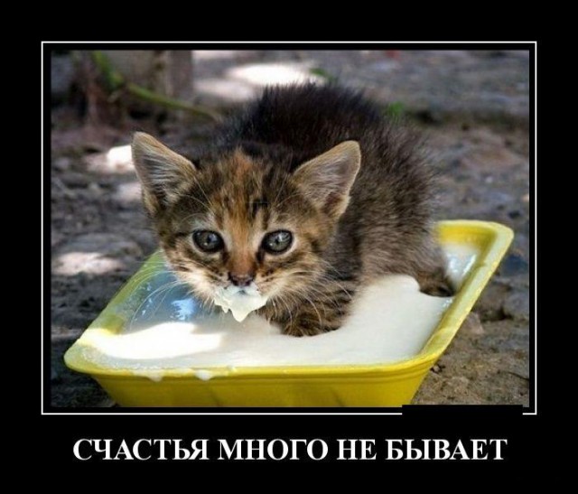 Картинки в черной рамке