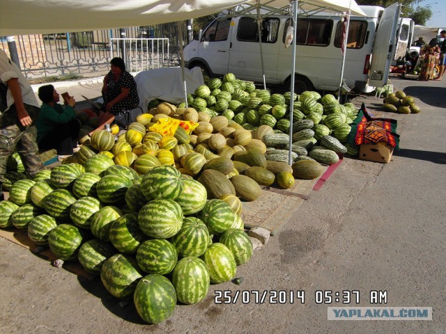 Кызылорда