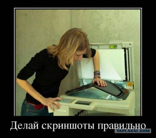 Веселости которые встретились сегодня