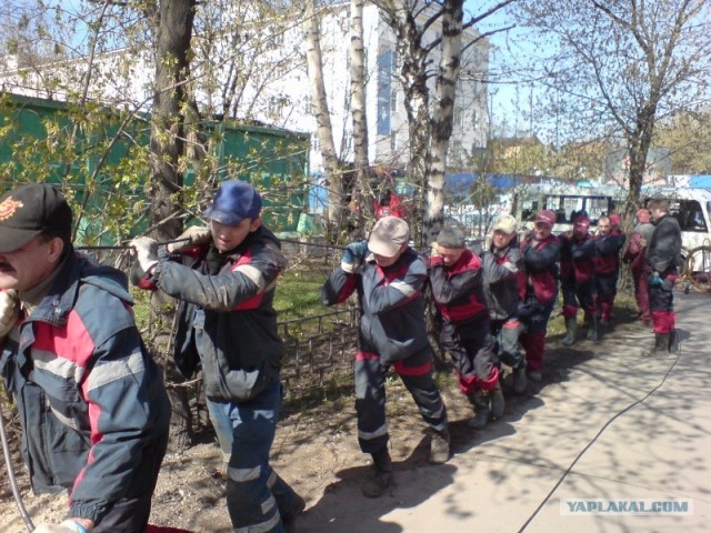 "Бурлаки" на Волге