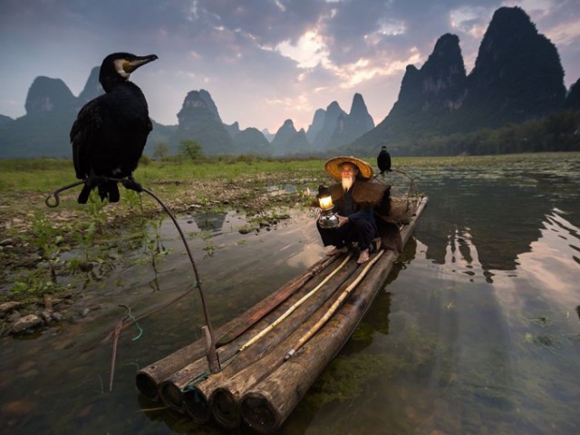 Лучшие фотографии National Geographic 2015