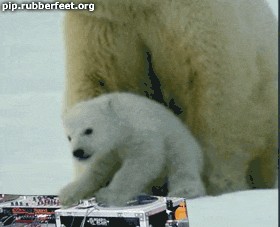 Прикольные ГИФЫ. Анимированные картинки.
