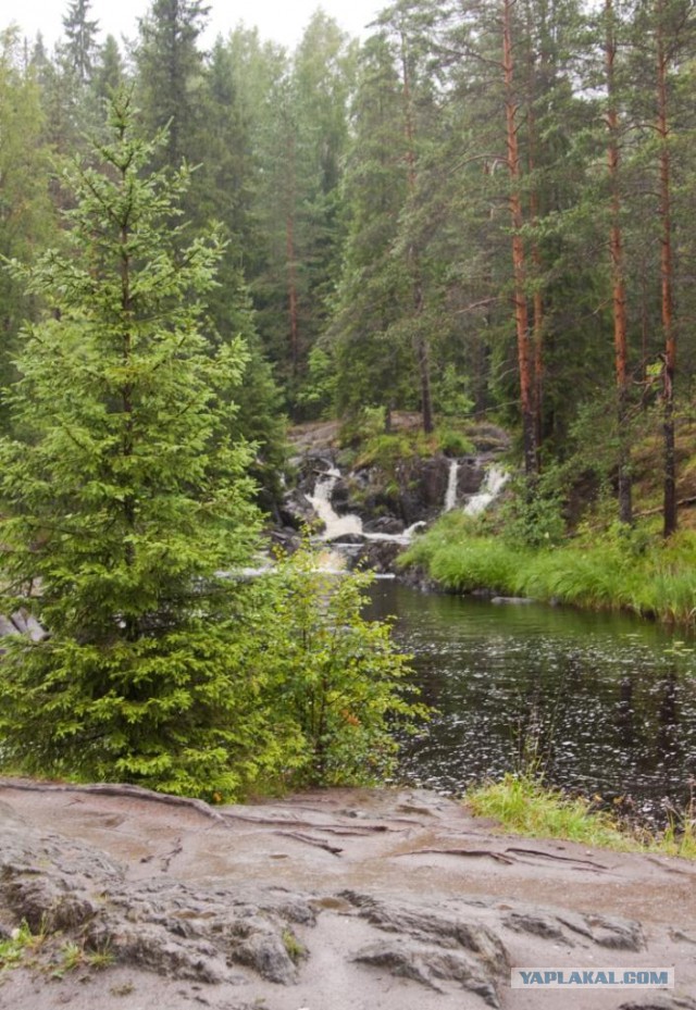 Две недели впечатлений.