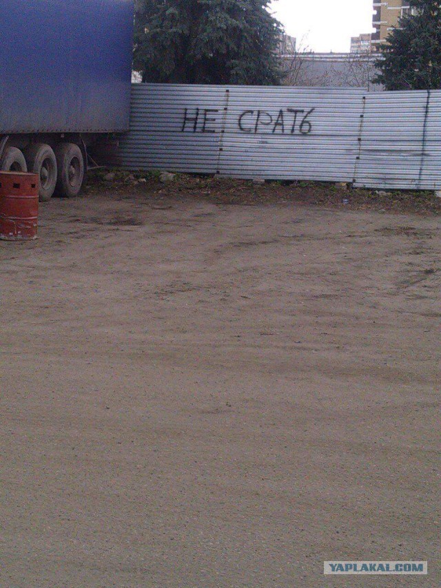 Капитан Очевидность всегда на страже!
