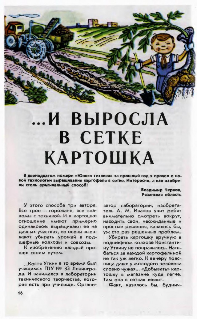 Картошка в мешках. Что из этого вышло