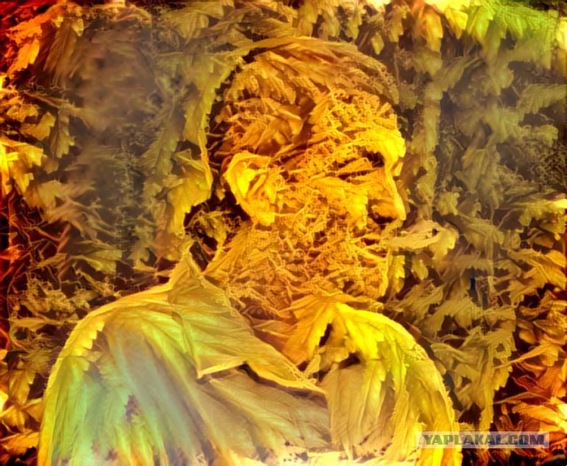 НестандART v. 16.0