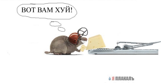 Мыша умный зверь...